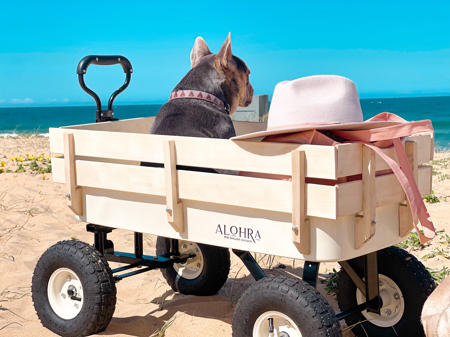 Timber Beach Cart Pearled Ivory Seconds – Alohra